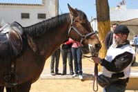 0903TDAA_1117