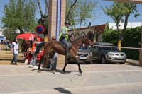 0903TDAA_1123