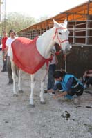 0903TDAA_1175
