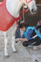 0903TDAA_1176