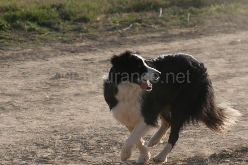 0902CRON_041