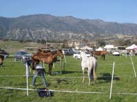 international/Spain/2009Cron/gallery/01Fri/thumbnails/0902CRON_004D.jpg