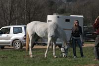 0902CRON_008