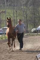 0902CRON_013