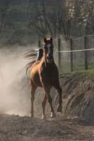 0902CRON_039
