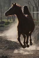 0902CRON_040