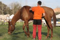 0902CRON_045