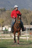 international/Spain/2009Cron/gallery/01Fri/thumbnails/0902CRON_047.jpg
