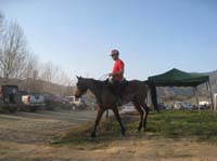 0902CRON_049A