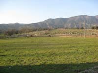 0902CRON_051A