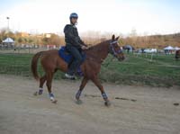 0902CRON_051C