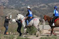 0902CRON_175