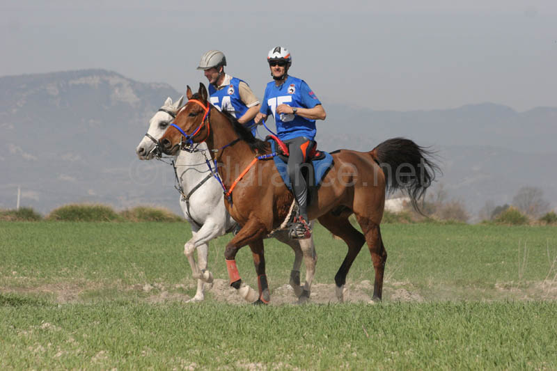 0902CRON_243