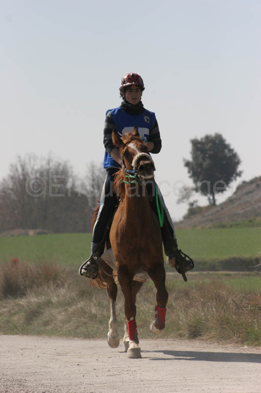 0902CRON_273
