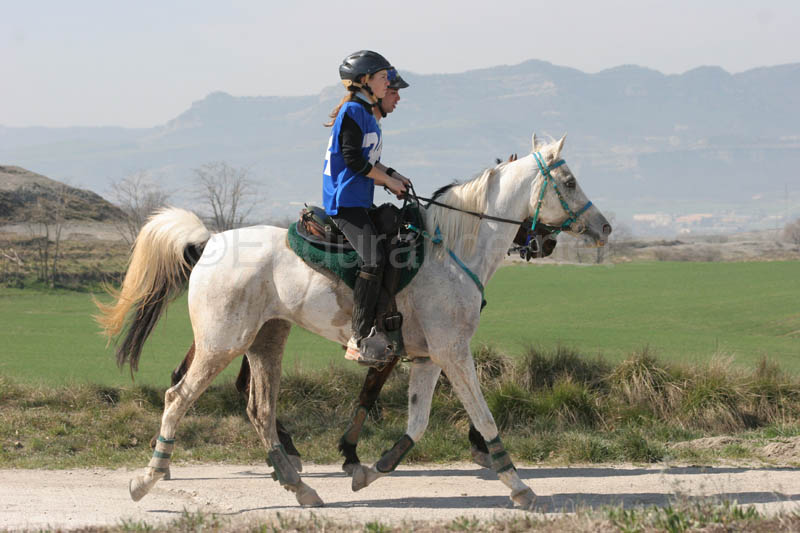 0902CRON_295