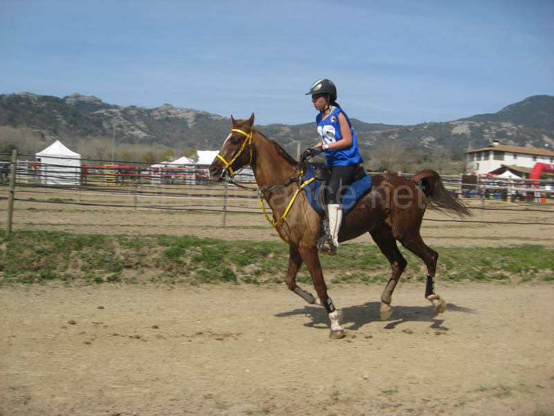 0902CRON_305C