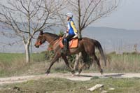 0902CRON_246