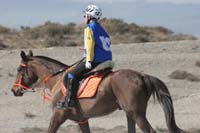 0902CRON_247
