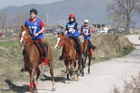 0902CRON_260