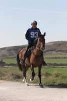 0902CRON_275