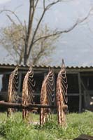 0902CRON_286