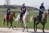 0902CRON_291