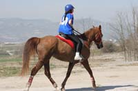 0902CRON_292