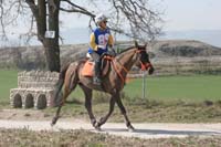 0902CRON_299