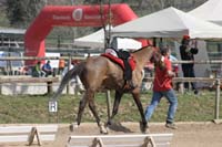 0902CRON_301