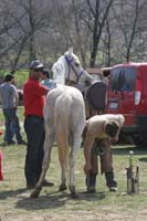 0902CRON_303