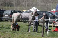 0902CRON_305