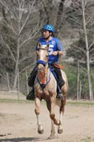 0902CRON_311