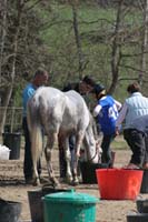 0902CRON_312