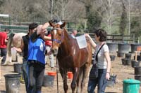 0902CRON_313