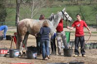0902CRON_314