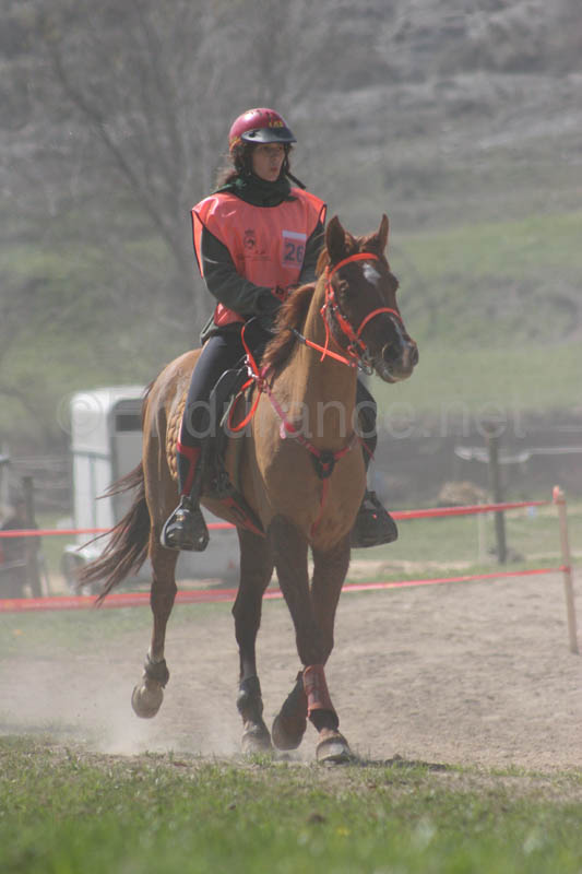 0903CRPR_164