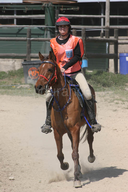 0903CRPR_181