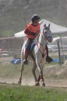 0903CRPR_161