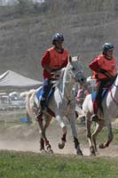 0903CRPR_162
