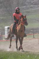 0903CRPR_164