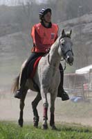 0903CRPR_168