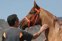 0903CRPR_174