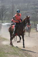 0903CRPR_184