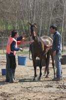 0903CRPR_187