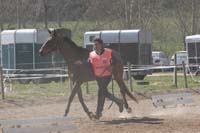 0903CRPR_189