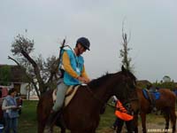 DSC01006