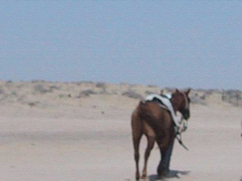 onTheTrail