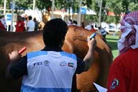 IMG_3295