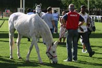 IMG_3334