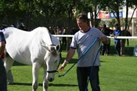 IMG_3340